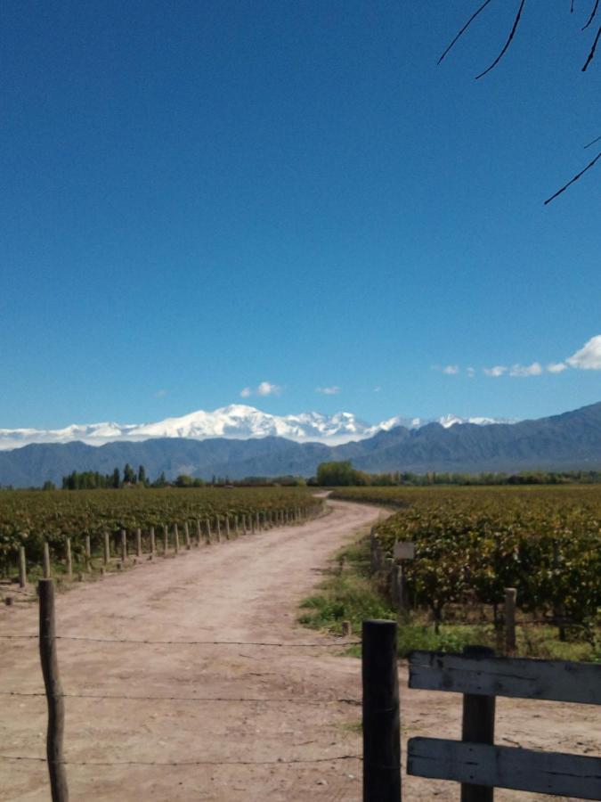 Loft Los Cerezos En Vistalba, Zona De Vinedos Y Bodegas Lujan de Cuyo Exterior foto