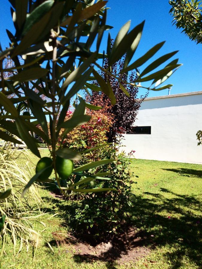 Loft Los Cerezos En Vistalba, Zona De Vinedos Y Bodegas Lujan de Cuyo Exterior foto